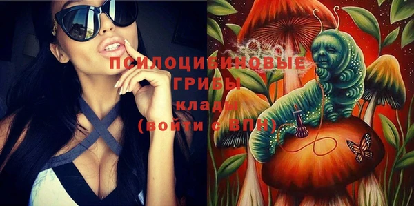 прущие крисы Осинники