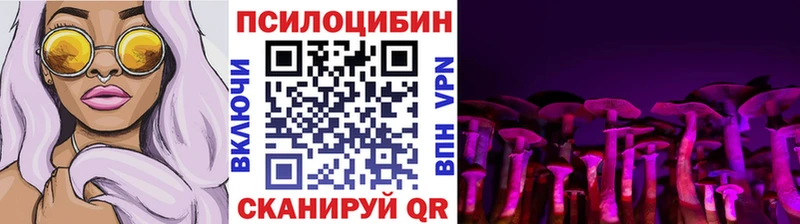 наркотики  Мирный  hydra ссылки  Псилоцибиновые грибы Psilocybine cubensis 